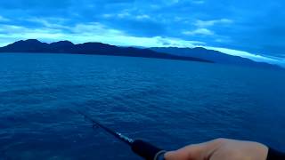 Spinning Fishing All day long  Catching a Sea bass [upl. by Peggir536]