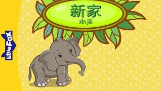 New Home 新家  Single Story  Early Learning 1  Chinese  By Little Fox [upl. by Yrmac]