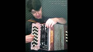 Heidemann electronic button accordion demo [upl. by Rozamond]