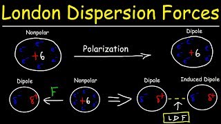 London Dispersion Forces amp Temporary Dipole  Induced Dipole Interactions  Intermolecular Forces [upl. by Carey]