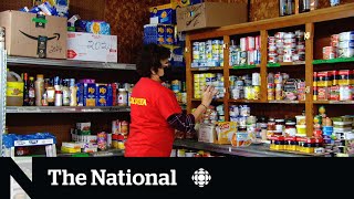 Ontario food bank bans international students [upl. by Ninel145]