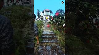 Orchid House Mangpoo Darjeeling dailyvlog darjeelingvloger darjeelingvlogs travel [upl. by Rashida]