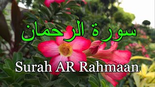 surah ar rahman [upl. by Noiwtna]