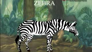 kids animation study for lesson Wild Animals [upl. by Anitsej]