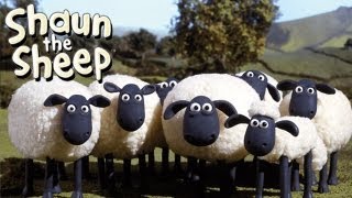 Early Morning Sheep🐑 Shaun the Sheep  Cartoons for Kids 🐑 Full Episodes Compilation 1 hour [upl. by Mailiw671]