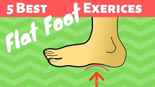 5 Best Flat Foot Exercises At Home Hindi [upl. by Bev]