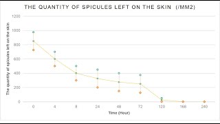 Where sponge spicules go after entering into skin [upl. by Niawat]