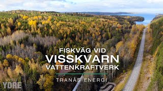 Fiskväg vid Visskvarn vattenkraftverk Ydre [upl. by Aserahs]