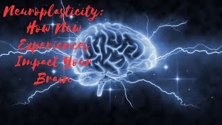 Neuroplasticity How New Experiences Impact Your Brain [upl. by Nifares604]