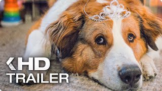 A Dog’s Journey  Trailer  Own it now on Bluray DVD amp Digital [upl. by Fosdick]