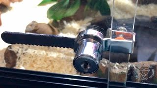 HOW TO INSTALL A VIVARIUM LOCK [upl. by Lust233]