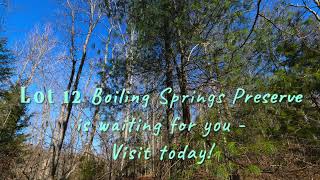 Lot 12 Boiling Springs Preserve [upl. by Layol]