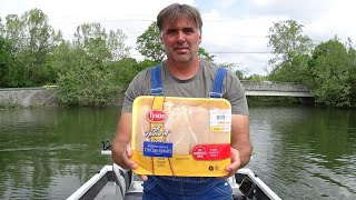 Using CHICKEN to catch CATFISH in Turkey Creek [upl. by Teresina]