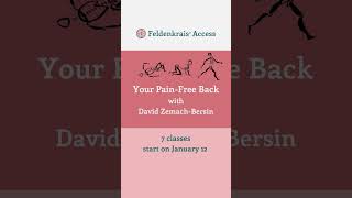 Your PainFree Back Feldenkrais lessons series with David ZemachBersin [upl. by Ummersen]