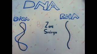 LIFE SCIENCES DNA GRADE 12 [upl. by Ramuk140]