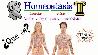 🚹 ¿Qué es la Homeostasis ✅ Fácil y Rápido  BIOLOGÍA [upl. by Donaugh]