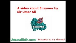 Define Enzymes Active Site Cofactors Coenzymes Substrate Lock and Key Model [upl. by Kei]