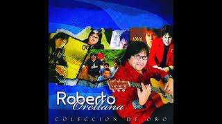 Roberto Orellana  Mi nuevo Amor  Audio [upl. by Monte]