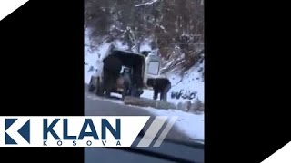 Vjedhja e drunjve ne Rugove  23012016  Klan Kosova [upl. by Merell]