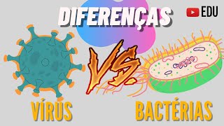 Qual a Diferença entre Vírus e Bactérias  Animação [upl. by Ettegirb952]