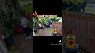 The dasher didnt expect this 😱 doordash securitycamera caughtonvideo [upl. by Monjo]