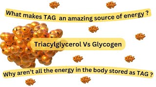 Triacylglycerol an amazing source of energy Two sources of energy adapted to particular needs [upl. by Angelina326]