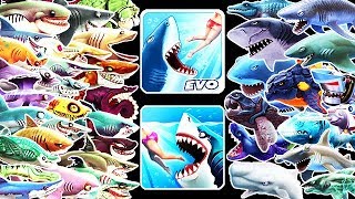 Hungry Shark Evolution vs World  All 41 Sharks Unlocked Buzz [upl. by Nosyaj]