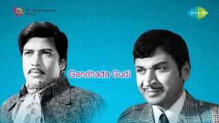 Gandhada Gudi  Navaaduva Nudiye song [upl. by Adnilim]