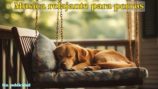 Música para DEJAR PERROS SOLOS EN CASA 🐶 Música Relajante Para Perros Sueño Tranquilo y Profundo 🐶 [upl. by Laekcim]