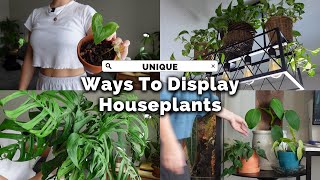 Upgrade Your Home with THESE Indoor Plant Display Tricks [upl. by Durnan233]