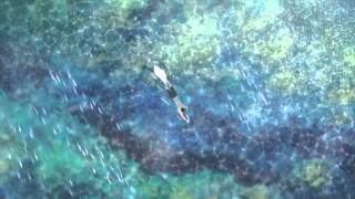 Free Crack AMV  Swimming Pools Gay Fish Kanye [upl. by Gnoix175]