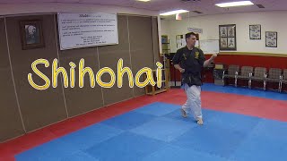 Learn Karate Shihohai karate karatekata shihohai [upl. by Analem426]