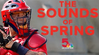 The sounds of Cardinals spring training [upl. by Ydarg]