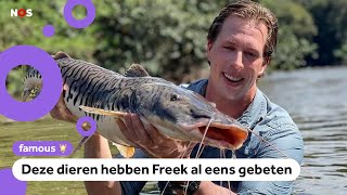 Waarom wordt Freek Vonk zo vaak gebeten [upl. by Labinnah969]