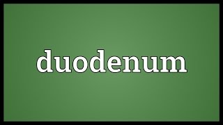 Duodenum Meaning [upl. by Luba]