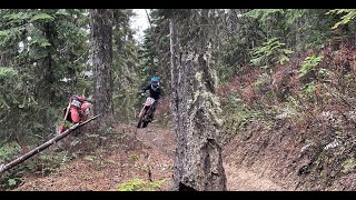 Woods Ride 23 Beta 200 Race and 22 Sherco 250 SEF [upl. by Akirehs]