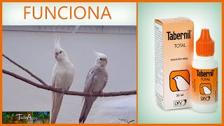 🐤 TABERNIL total VITAMINAS para PAJAROS 🐦🐦🐤 [upl. by Shalne]