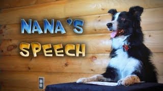 Nana Gives a Speech  Facebook Fraud [upl. by Einafats]