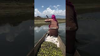 Boat dallake [upl. by Stan]