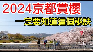 【日本旅遊】2024年日本京都櫻花季賞櫻全攻略🌸5大京都賞櫻景點推薦・京都賞櫻秘訣・京都自由行攻略・京都旅遊・日本自由行・哲學之道・蹴上・鴨川・伏見桃山・伏见十石舟・祇園白川・京都站4K [upl. by Ahsieket]