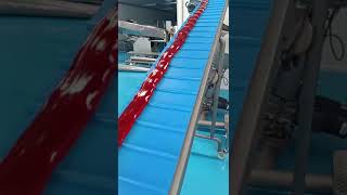 Automatic Hard Candy Making Machine [upl. by Annelg125]