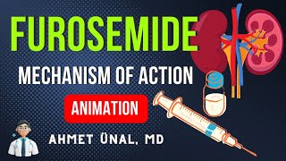 🎬 FUROSEMIDE SITE OF EFFECT AND MECHANISM OF ACTION  ANIMATION [upl. by Sage652]