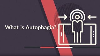 What is Autophagia Facts Cases amp Meaning [upl. by Lartnom]