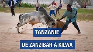 Tanzanie un voyage inattendu  Zanzibar  Kilwa  Pemba  Documentaire voyage  AMP [upl. by Livi]