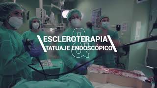 Curso Endoscopia Digestiva Terapéutica 2021 [upl. by Garald360]