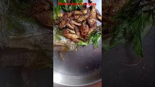 Haladi Patra Desi sukhua poda Dream ddn shorts youtubeshorts recipe desisukhua shortsfeed [upl. by Hars44]