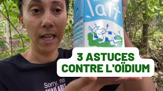 DE LOIDIUM   Voici 3 astuces à connaitre [upl. by Yssac950]