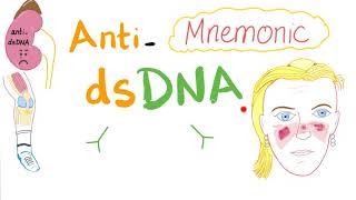 AntidsDNA autoantibodies  Mnemonic  Systemic Lupus Erythematosus SLE [upl. by Airotciv]