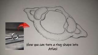 Learn to Draw Atlas the First Cervical Vertebra  StepbyStep Easy Tutorial [upl. by Anoif]