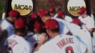 2014 South Carolina Baseball Intro [upl. by Elleahcim]